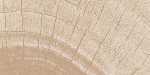 A close-up of aged brown timber material featuring a rough natural wood texture and weathered grain pattern on an old tree trunk surface © Jharna Akter