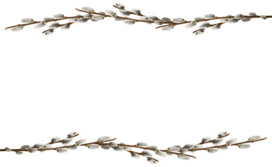 Spring frame made of pussy willow branches isolated on white background. Horizontal spring border symbolizing Easter, spring awakening and renewal, with copy space. © Yuliia
