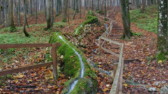 Moosbewachsene Steinerne Rinne im herbstlichen Wald bei Wolfsbronn im Altm&uuml;hltal
