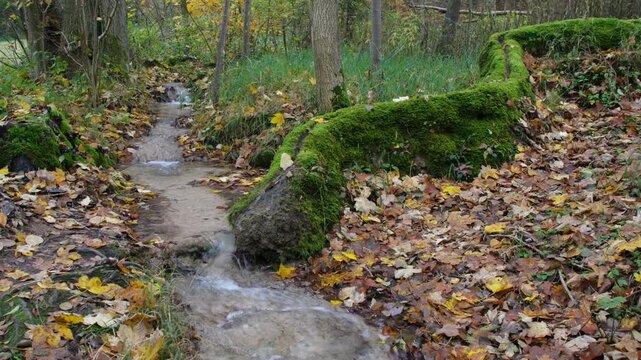 moosbewachsene Steinerne Rinne bei Rohrbach im Altm&uuml;hltal