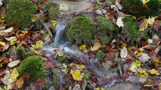 Detailaufnahme von Kalktuffablagerungen im Bachbett des Rohrbachs