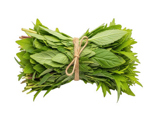 Fresh basil bundle tied with twine isolated on transparent background