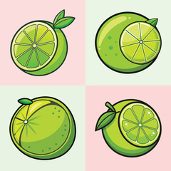 Lime Citrus Fruits Set Flat Design Vector Illustration