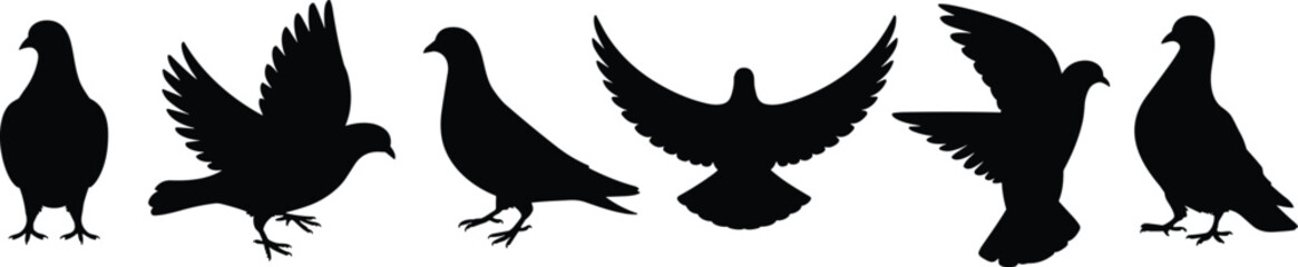 Obraz premium Bird silhouettes collection, black flying and standing bird shapes, wildlife avian outlines, minimalist animal clipart set, vector illustration design