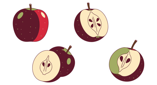 Velvet Apple Line colorful professional design