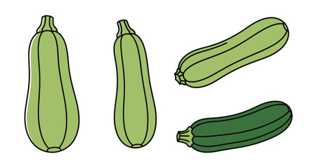 Zucchini Line art color clean design © saif