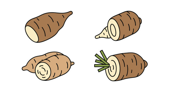 Yam Line art vector color filled design