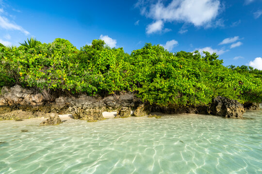 Mauritius, Ile aux Aigrettes - 15 April 2022 - Wonderful view of a hidden bay with limestone rocks and lush plants