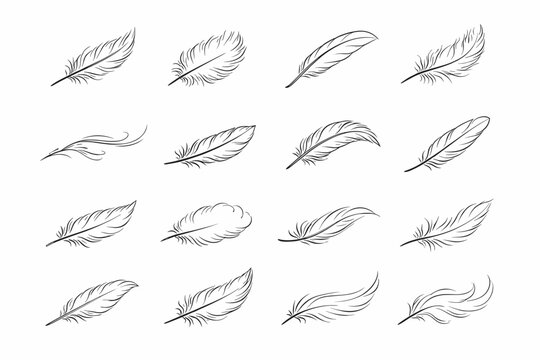 Curve fragile feather icon line gentle collection edge vector sweep plume soft