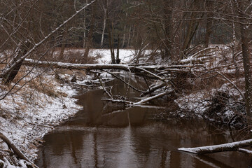 Mała nieuregulowana rzeka zimą. Po obu stronach znajdują się łąki pokryte warstwą śniegu. W poprzek rzeki leżą powalone drzewa. © boguslavus
