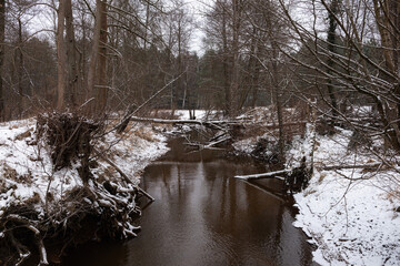 Mała nieuregulowana rzeka zimą. Po obu stronach znajdują się łąki pokryte warstwą śniegu. W poprzek rzeki leżą powalone drzewa. © boguslavus