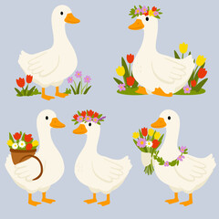 Set of cute spring geese with flowers, in wreath and in flower garland. Vector illustration in flat cartoon style for greeting cards, season greetings, end other design. © Алла Машичева