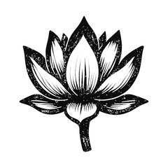 Fototapeta premium PNG Elegant lotus flower illustration