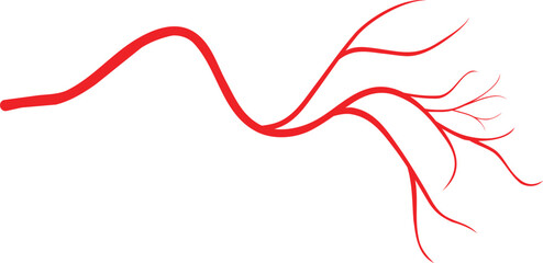 Fototapeta premium Vein icon. Blood vessel. Medical body anatomy
