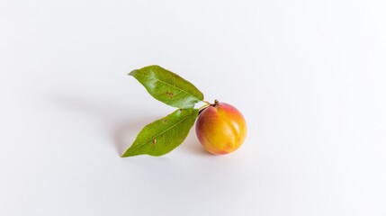 stonefruit. A single fresh peach with a green leaf, presented on a clean white background in a minimalist style. menu design.
sewing.