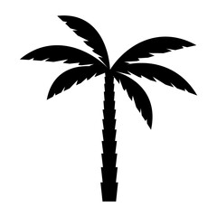 Obraz premium Palm tree icon