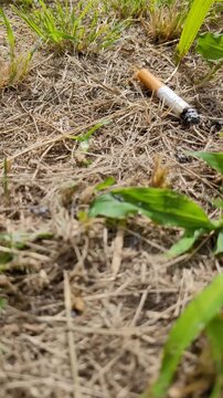 cigarette thrown in the dry grass of the forest with blurriness in the video
