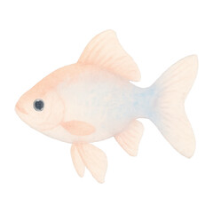 Obraz premium PNG Watercolor fish illustration art.