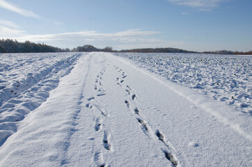 Obraz premium Ślady