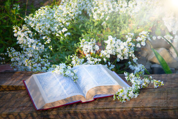 Big book on the brnch