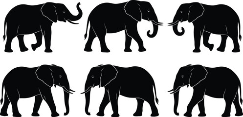 African elephant silhouette collection featuring majestic trunk up and walking poses isolated on white background for wildlife nature and safari travel design © Junayid