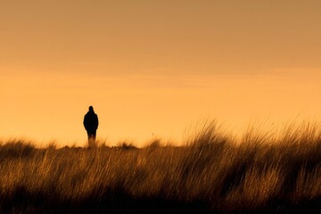 A lone person stands still in a field of tall grasses under a warm golden sunset sky, watching the horizon as wind blows.