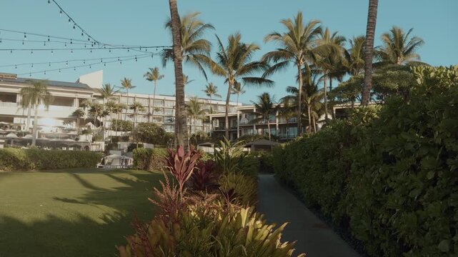 The coconut (Cocos nucifera) is a member of the palm family (Arecaceae). Wailea Beach Paths, South Maui, Hawaii. Andaz Maui at Wailea Resort