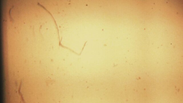 Vintage Sepia Film Grain with Scratches