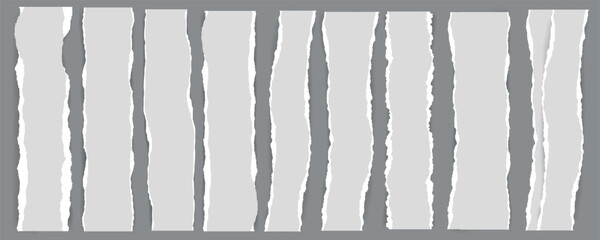 Ripped Paper Collection Torn Edge and Texture Set on Grey Background
