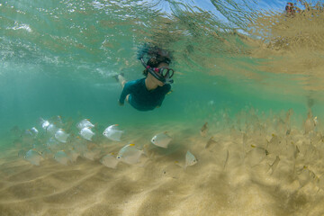 Female snorkeler swimming with tropical fish, Hikkaduwa, Sri Lanka