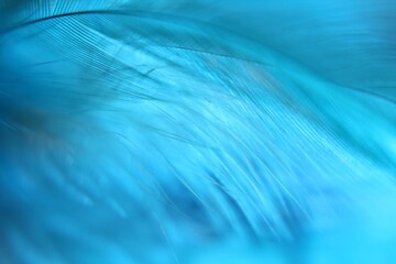 Macro photo feathers colored artistic bohemian style cozy boho aesthetic background close up © Elena K