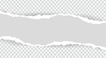 Horizontal Ripped Paper Edge Gray Banner with Transparent Background