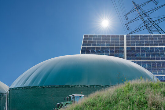 Biomass as a flexible green "back-up" for the energy transition