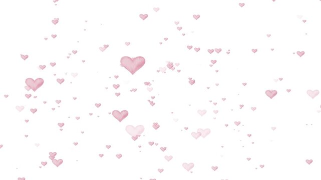 Animation of floating pink hearts on a white background &mdash; the perfect live screensaver for romantic videos, greeting cards, wedding, Valentines days.