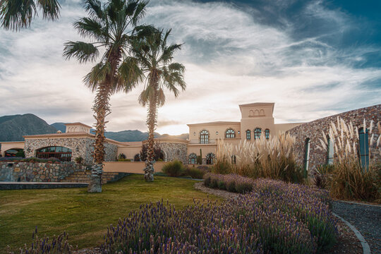 Exterior facade of a luxury winery mansion with lavender in Cafayate.