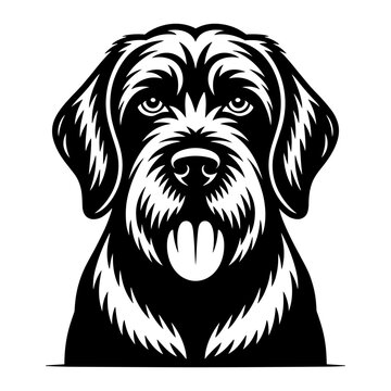 Spinone Italiano Dog