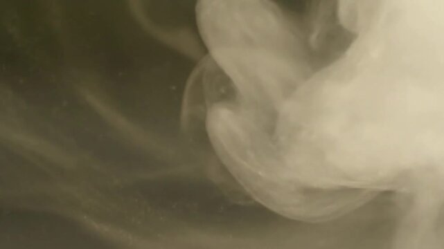 Special Effects & Overlays High-quality, loopable fog effect designed for use as a realistic overlay in post-production.