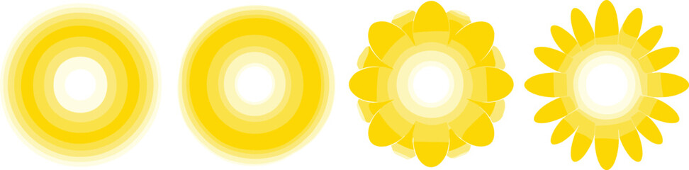 Vibrant yellow flowers and circular designs arranged in a row on a clean surface, viewed from directly above