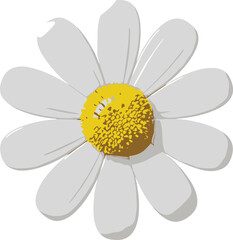 A serene white flower with yellow center illustration on a clean background from a straightforward viewpoint