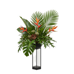 Vibrant Tropical Floral Arrangement In Modern Silver Vase Isolated