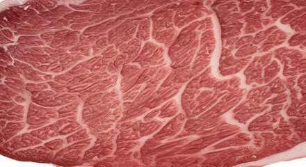 Wagyu Beef Marbling Close Up Red Meat Texture Isolated