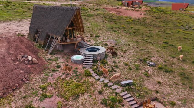 Aerial view of a rustic Peruvian house with grazing llamas