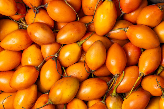 A freshly harvested tropical tamarillo in a market square, a fresh and healthy food of Latin American origin.