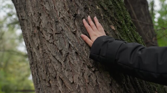 hand touching tree bark in park during mindful walk closeup of fingers exploring rough trunk and moss, black jacket sleeve, overcast autumn light, quiet grounding atmosphere, sensory nature therapy