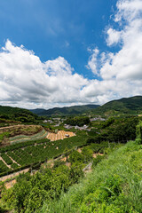 夏の静岡県浜松市浜名区三ヶ日町の街並み