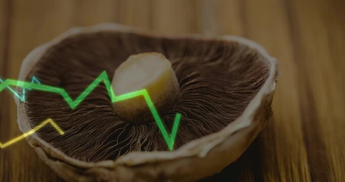 Neon lines entering left edge sweeping across mushroom cap, crossing gills and highlighting texture