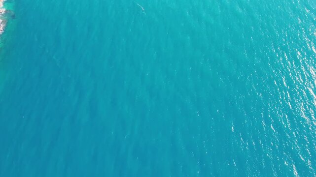 Epic Pula coastline ocean water aerial tilt up reveal. 
Cinematic drone panorama from top down view of winding road, 
green pine trees and rocky beach to blue horizon in Croatia.
