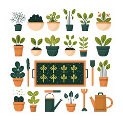 Flat illustration of various potted plants and gardening tools on a white background