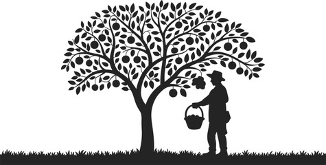 Silhouette farmer harvesting apples from fruit tree, countryside orchard scene, organic agriculture concept, rural lifestyle vector illustration