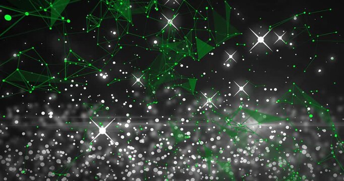 Particle mesh playing back, shifting green network and flickering white bokeh, showing tech depth